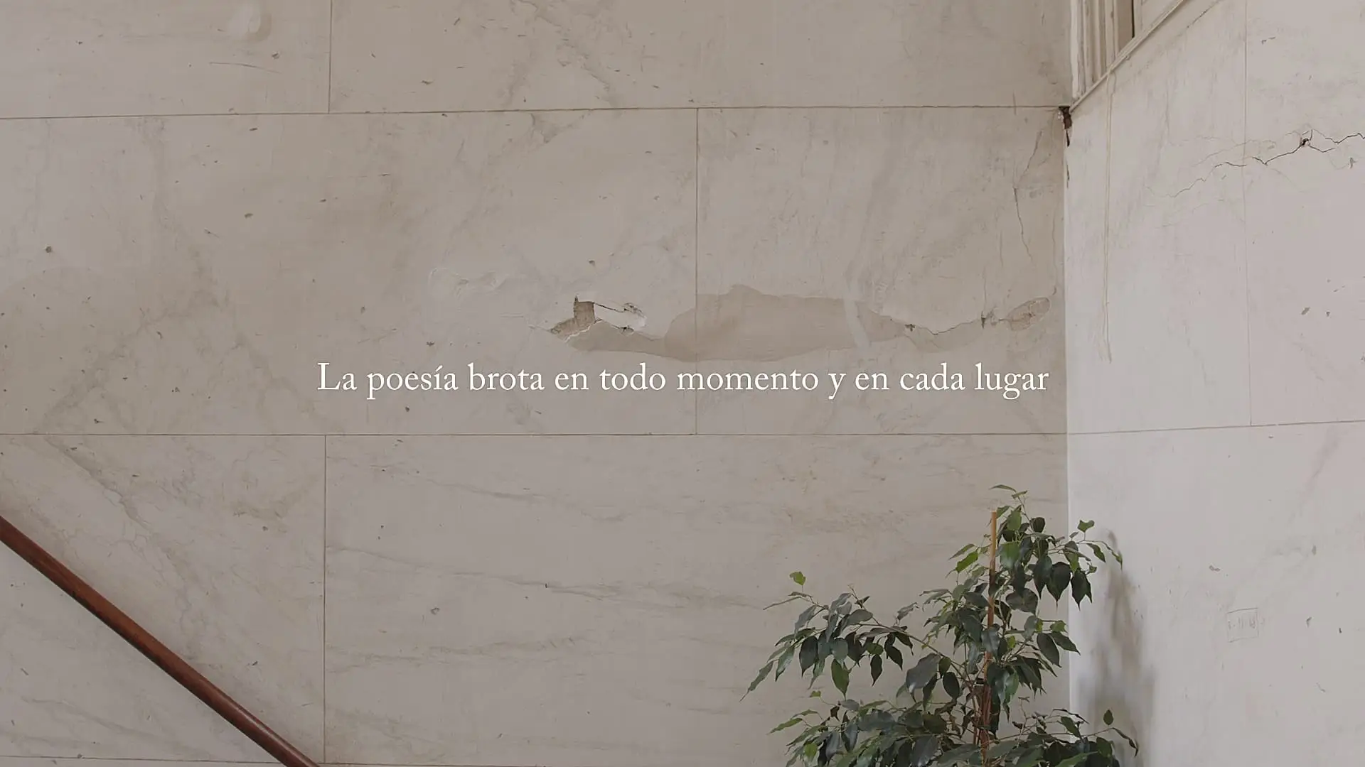 La poesía brota en todo momento y en cada lugar