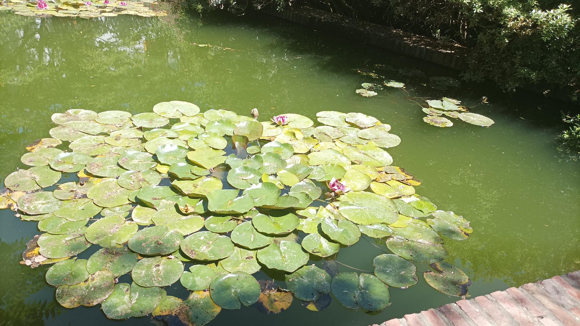 La vida es. Un apunte de Juana Vázquez