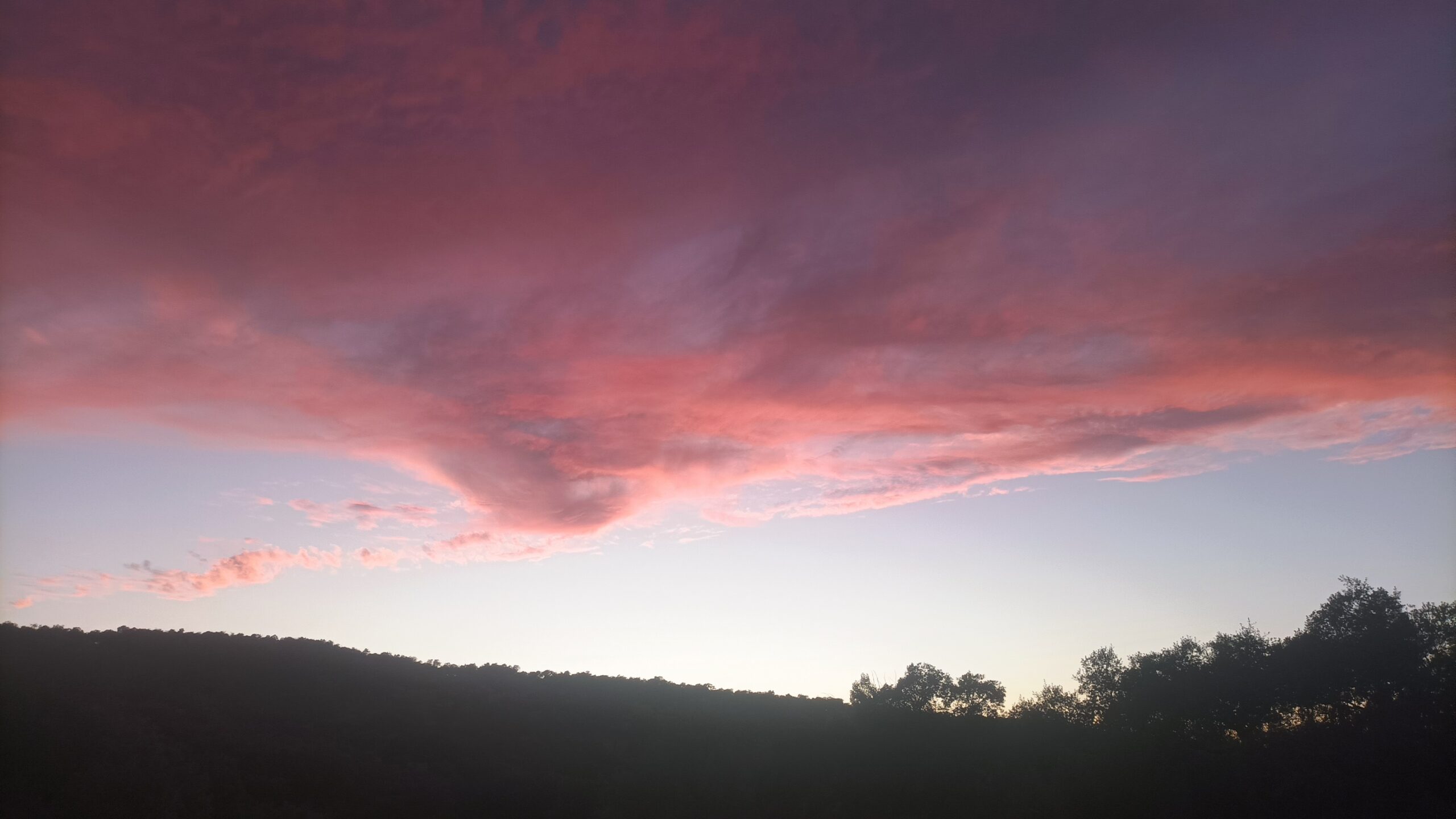 ELEGÍA. A Concha. In memoria